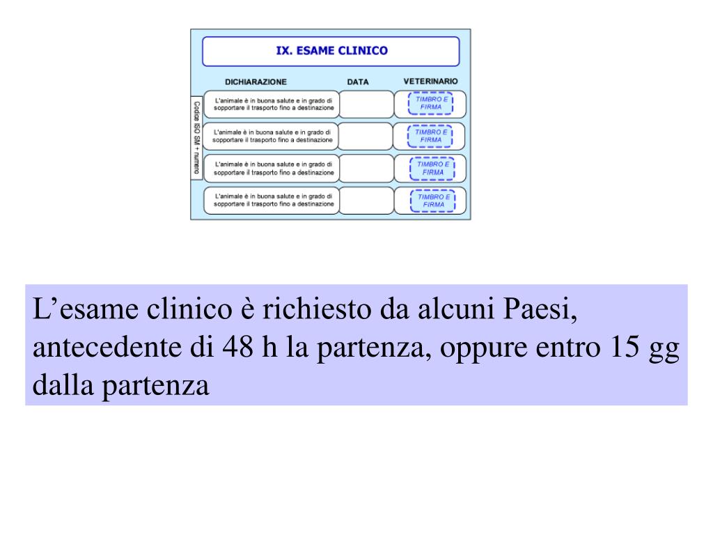 Datazione ufma