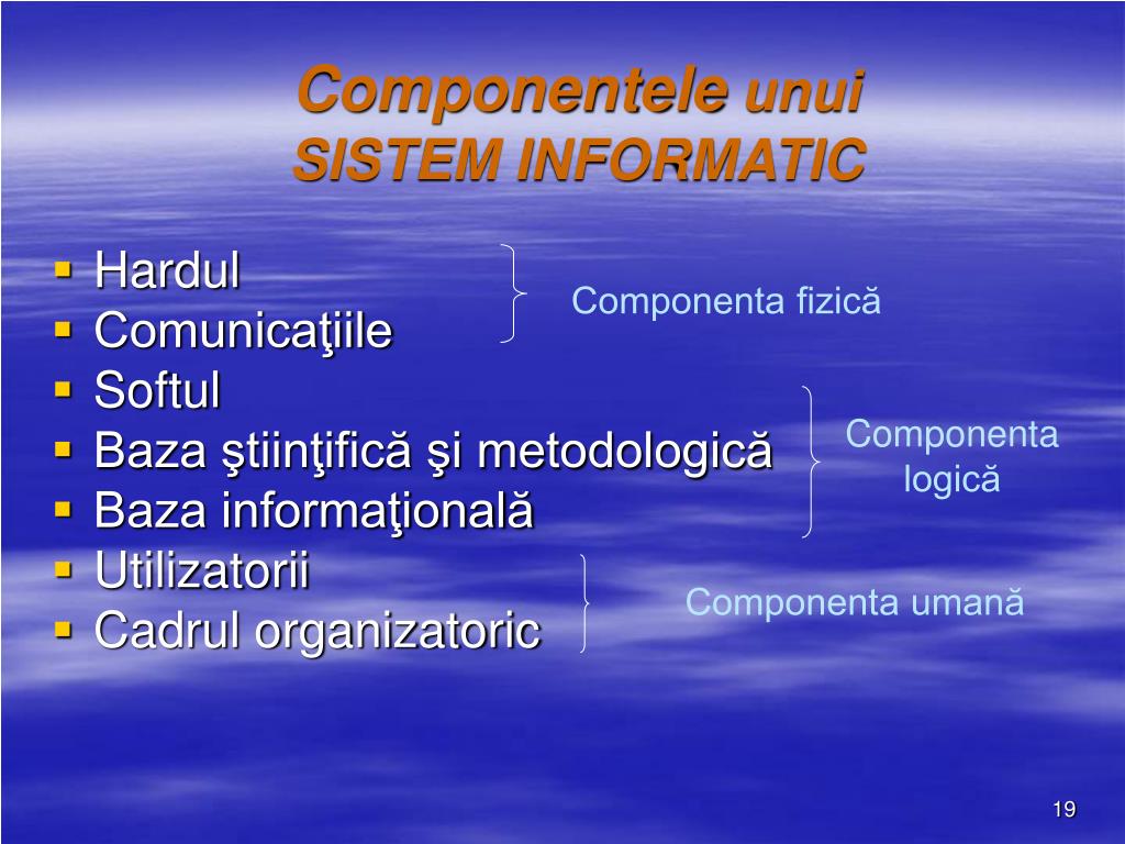 PPT - Tema 1 : Sisteme informatice integrate Ã®n societatea cunoaÅŸterii  PowerPoint Presentation - ID:3987281