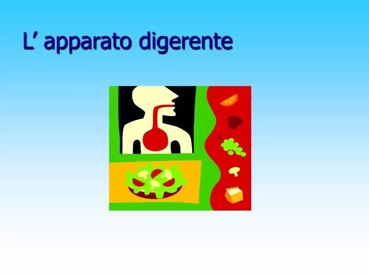 Ppt La Apparato Digerente Powerpoint Presentation Free Download Id 3987347