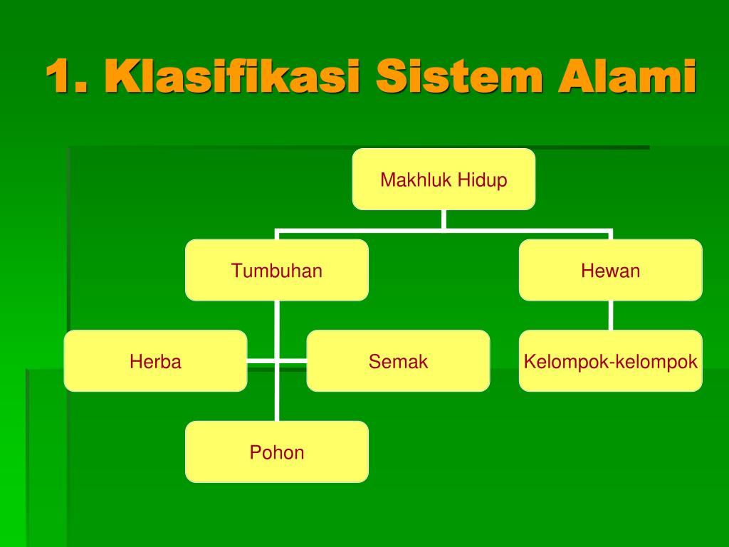 PPT - KLASIFIKASI PowerPoint Presentation, free download - ID:3987828
