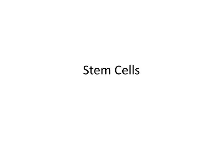 stem cells n.