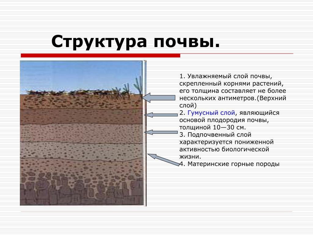 Какую толщину может достигать почва. Почва – верхний слой земли. Состав почвы. Структура почвы схема. Структура осадка почвы. Состав и строение почвы.