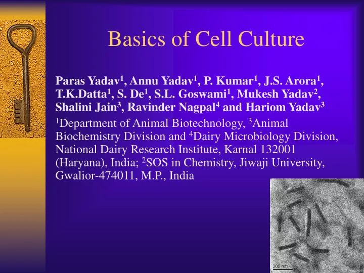 PPT - Basics of Cell Culture PowerPoint Presentation, free download -  ID:3991351