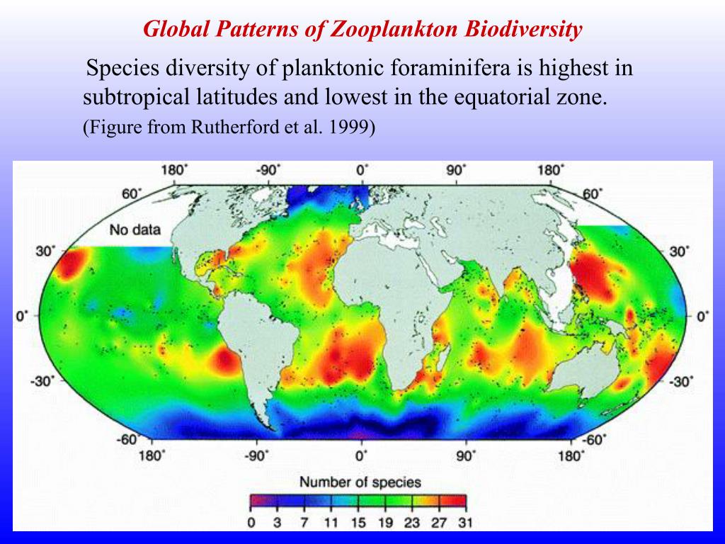 zooplankton diversity research paper