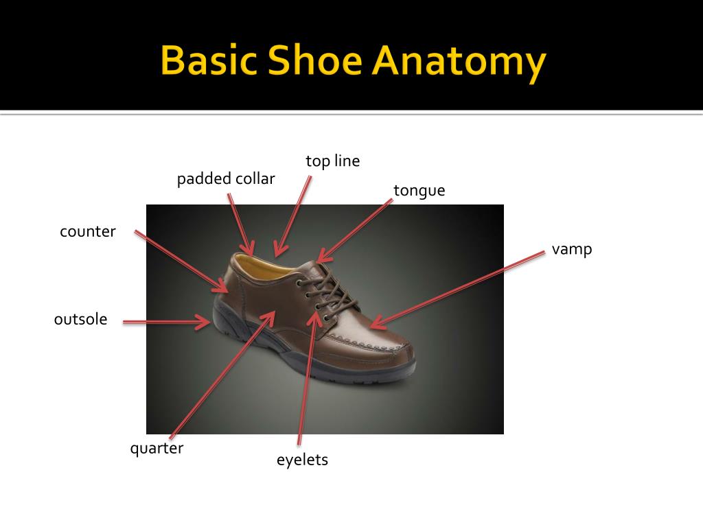 PPT - Basic Shoe Anatomy PowerPoint Presentation, free download - ID ...