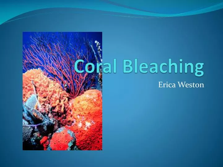 free infographics maker online coral reefs free infographics maker online coral reefs