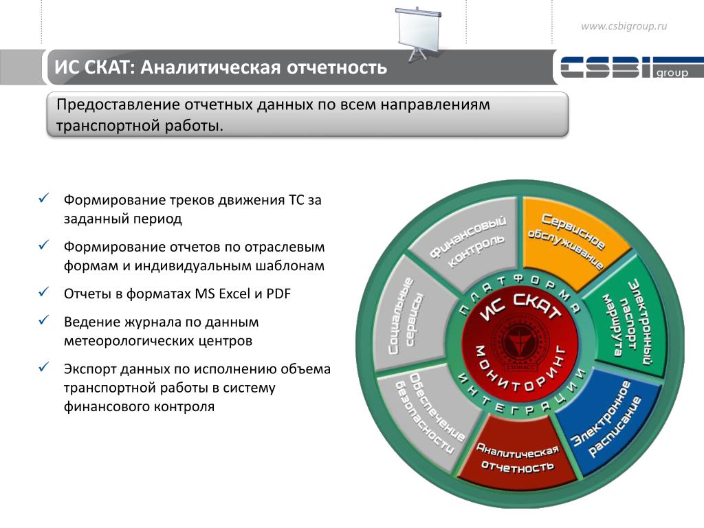 Форма аналитического отчета. Система контроля и анализа трафика Скат. Информационная система комплексной автоматизации транспорта. Предоставление аналитических отчетов. Секторальная форма.