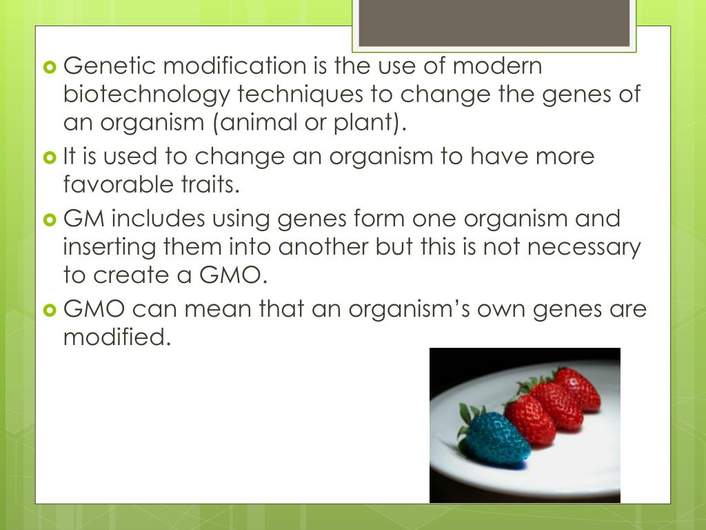 genetic modification presentation