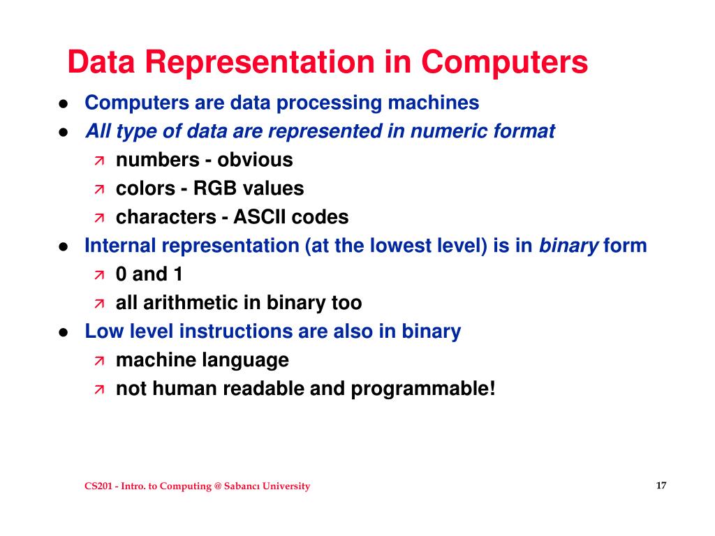 data representation in a computer system