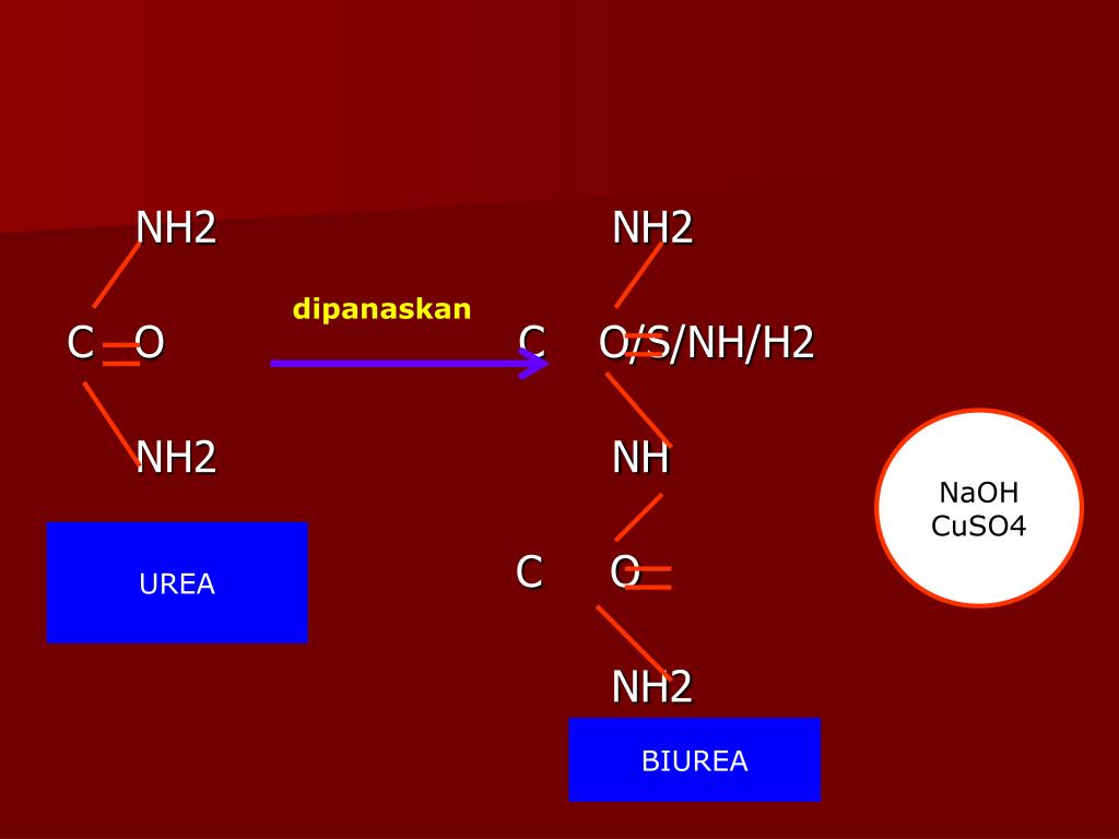 N2 nh3 t. Nh2nh2. Cuso4+NAOH. Амин+cuso4. Глюкоза NAOH cuso4.
