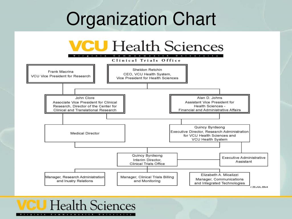 Vcu Health System Organizational Chart