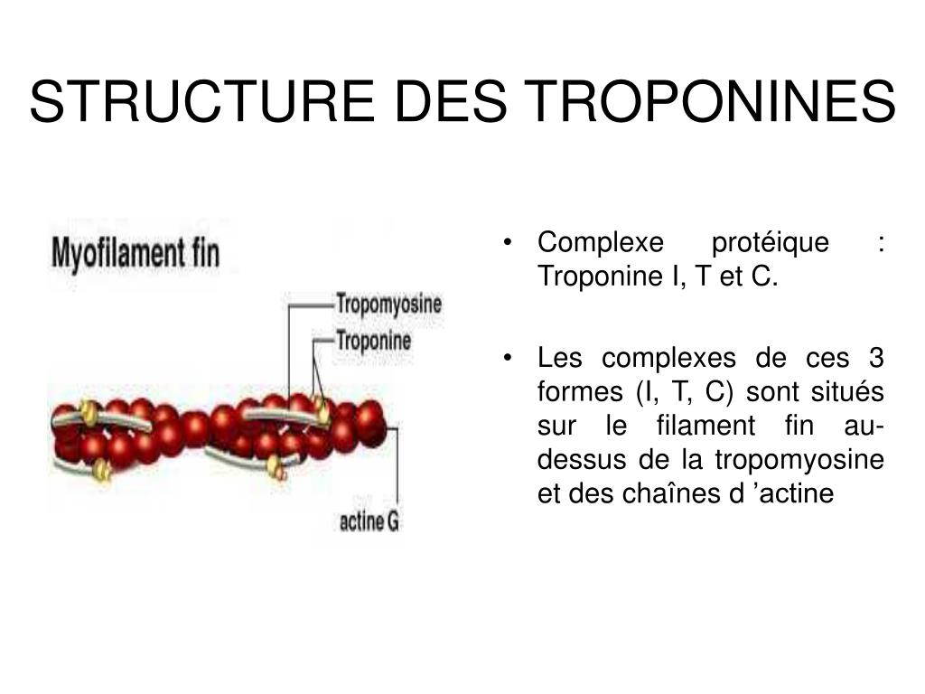 PPT SCA Continuum Physiopathologique PowerPoint Presentation Free 