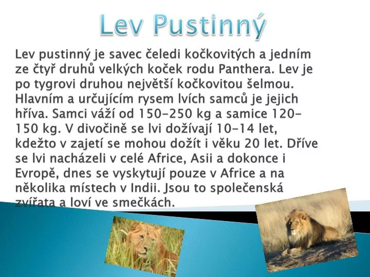 PPT - Lev Pustinný PowerPoint Presentation, free download - ID:4010630