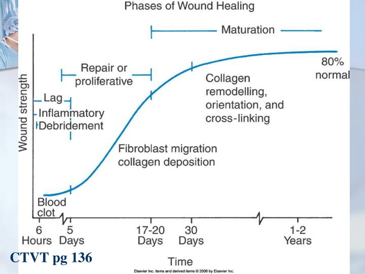 Wound Management Chart