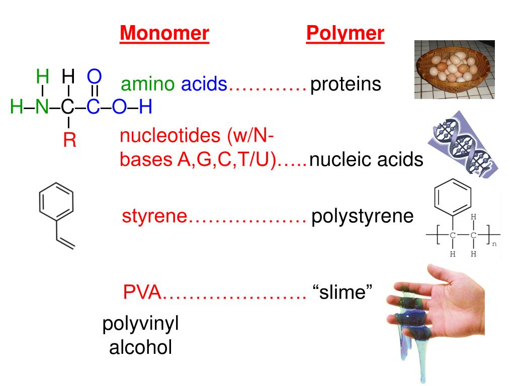Мономер нуклеиновой кислоты аминокислота. Amino acid Protein. Мономер силикона. Nucleic acids. Мономер витаминов.