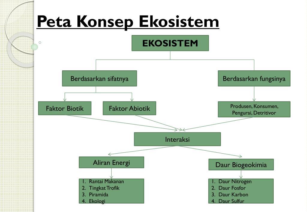 PPT EKOSISTEM  PowerPoint Presentation free download 