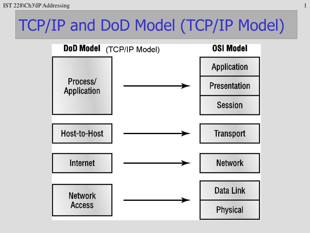 Dod Network Model