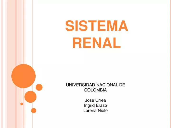 PPT - SISTEMA RENAL PowerPoint Presentation, free download - ID:4017273