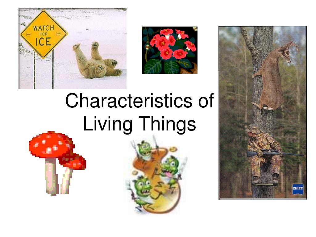 powerpoint presentation on characteristics of living things