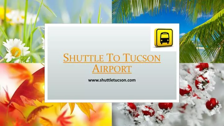 shuttle to tucson airport n.