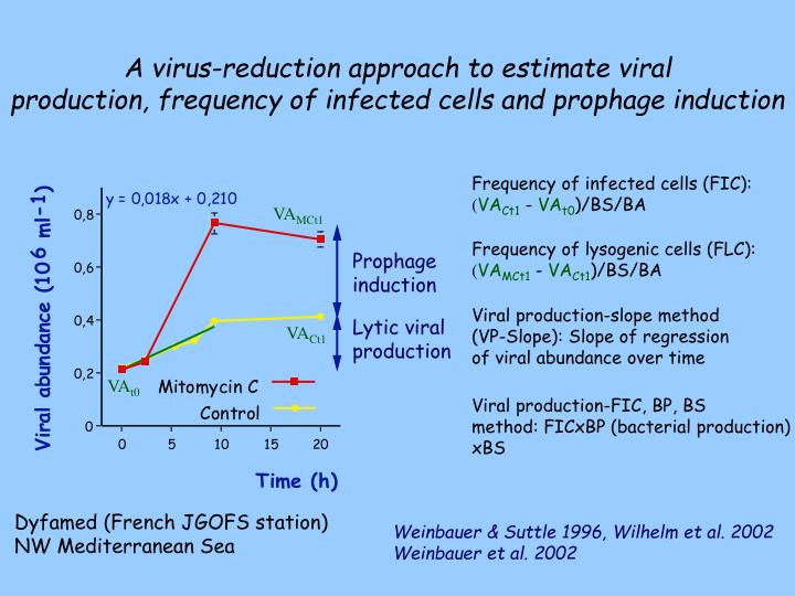 effect of virus on performance of A virus can affect a computer in many ways from simply freezing the screen - to writing vast amounts of gibberish data to the hard drive, filling it up. effect of virus on performance of A virus can affect a computer in many ways from simply freezing the screen - to writing vast amounts of gibberish data to the hard drive, filling it up.