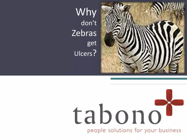 PPT Why don’t Zebras get Ulcers ? PowerPoint Presentation, free