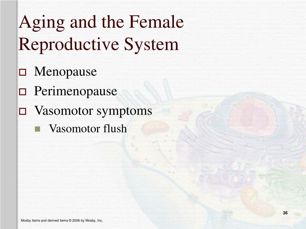 Ppt Structure And Function Of The Reproductive System Powerpoint
