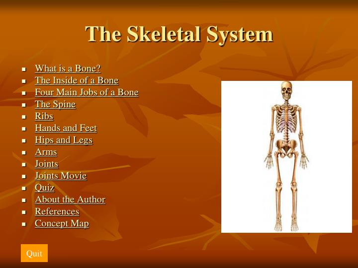 PPT - The Skeletal System PowerPoint Presentation - ID:4024465