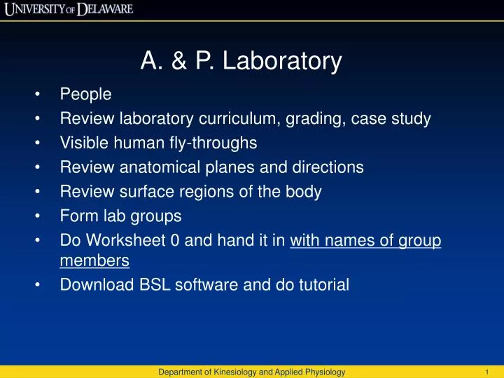human a&p case study human a&p case study