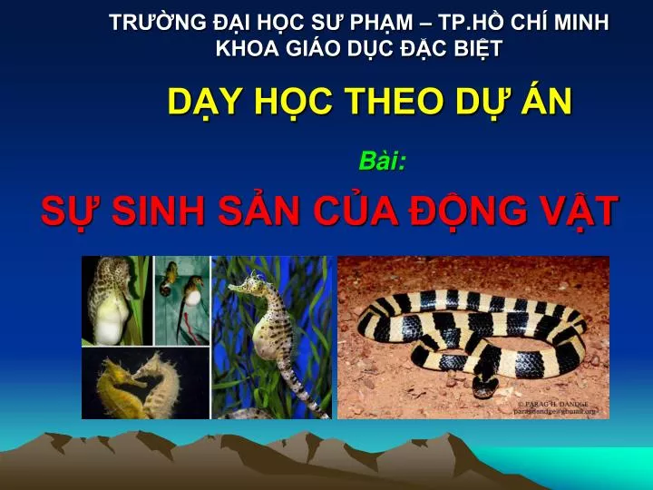 PPT - TRƯỜNG ĐẠI HỌC SƯ PHẠM – TP.HỒ CHÍ MINH KHOA GIÁO DỤC ĐẶC BIỆT ...