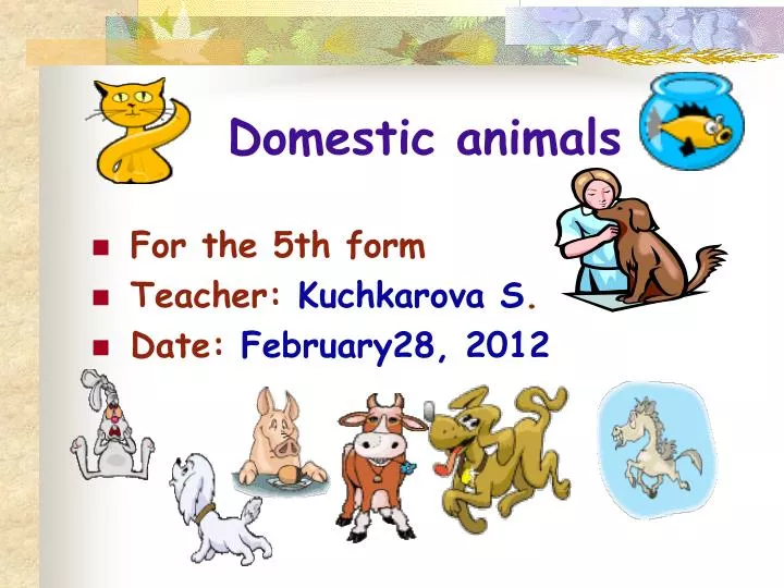 PPT - Domestic animals PowerPoint Presentation, free download - ID:4027763