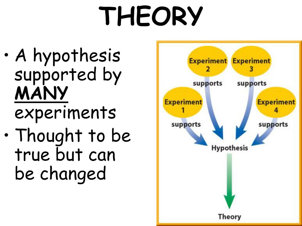 hypothesis and scientific theory