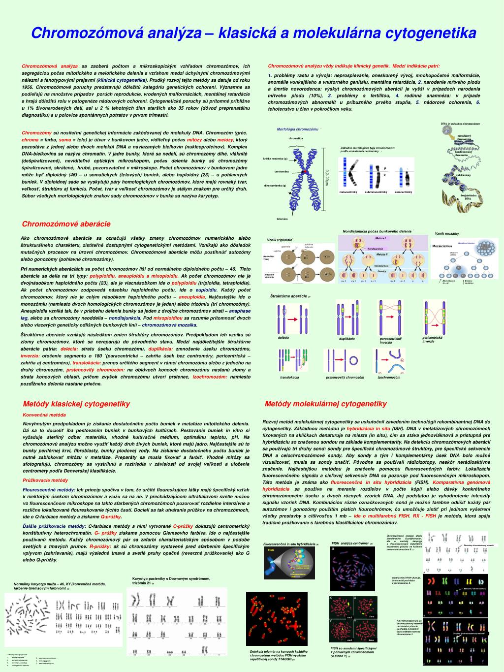 PPT - Chromozómová analýza – klasická a molekulárna cytogenetika PowerPoint  Presentation - ID:4031322