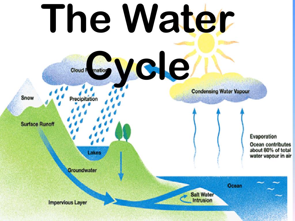 presentation on topic water cycle