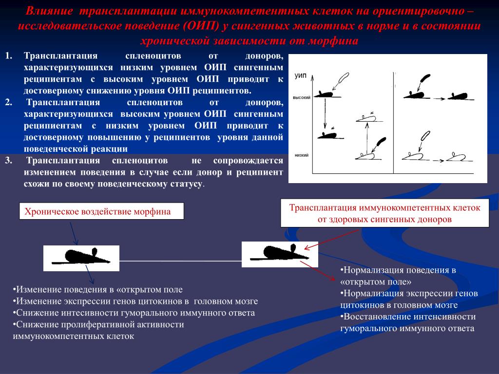 Исследовательское поведение дошкольника - найдено 80 картинок