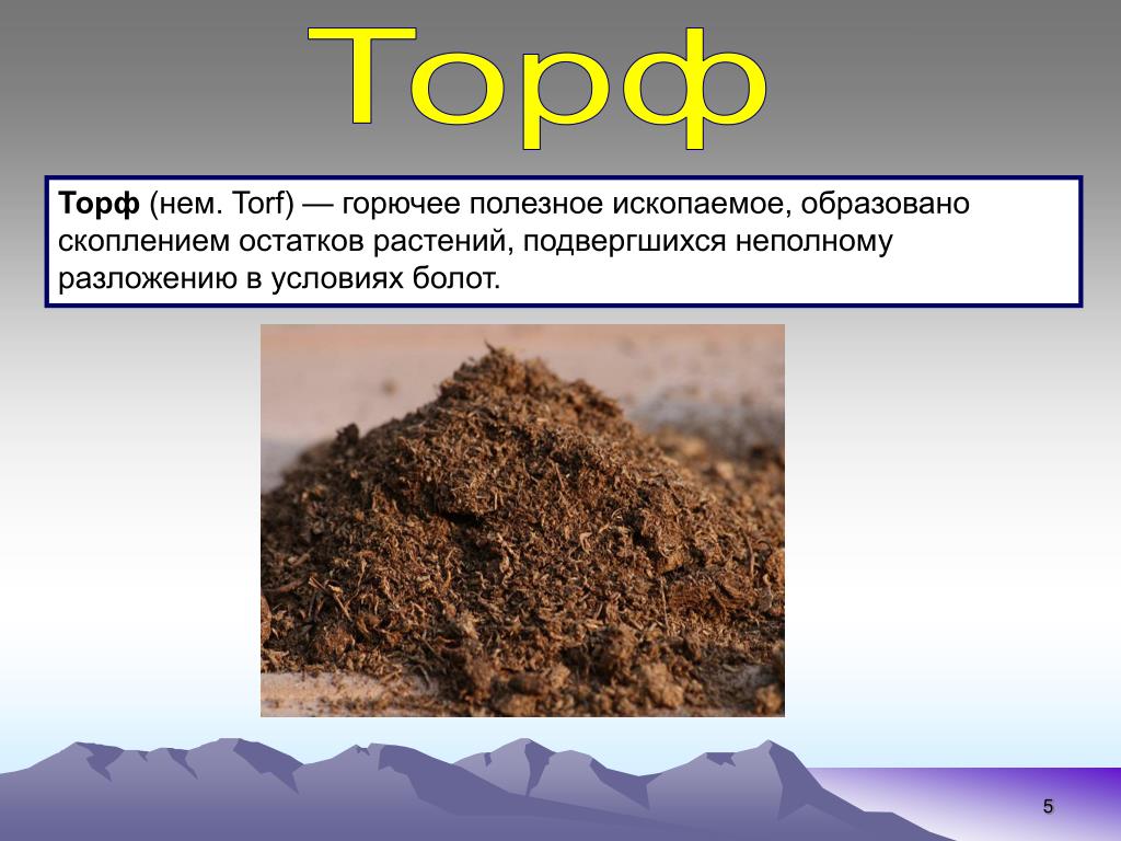 Торф происхождение породы. Полезные ископаемые Кузбасса торф. Торф полезное ископаемое. Торф вид полезного ископаемого.