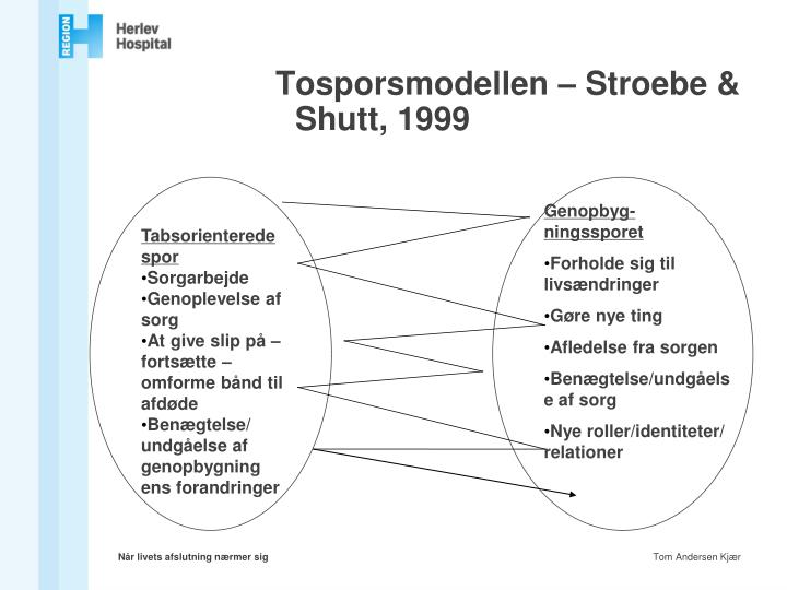 PPT - Oversigt over min lektion PowerPoint Presentation - ID:4036256