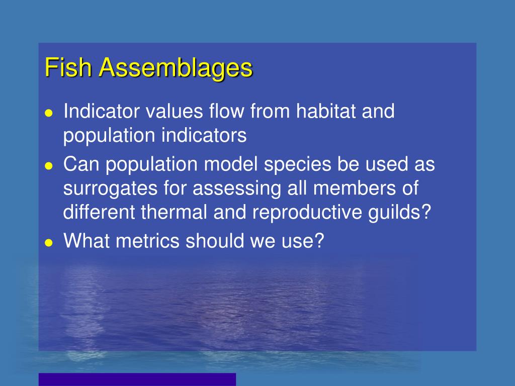 PPT - IJC LO-SL Water Levels-Flows Study: Fish Performance