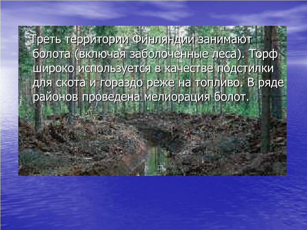 Более 10 территории россии занимают болота можно. Лесные хозяйства Финляндии ppt. Треть территории.