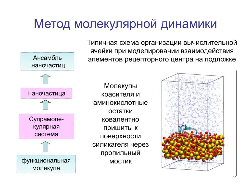 Взаимодействие элементов метода. Метод классической молекулярной динамики. Метод молекулярной динамики в компьютерном моделировании. Метод моделирование молекул. Молекулярная динамика моделирование.
