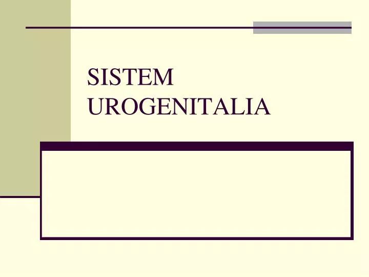 sistem urogenitalia n.