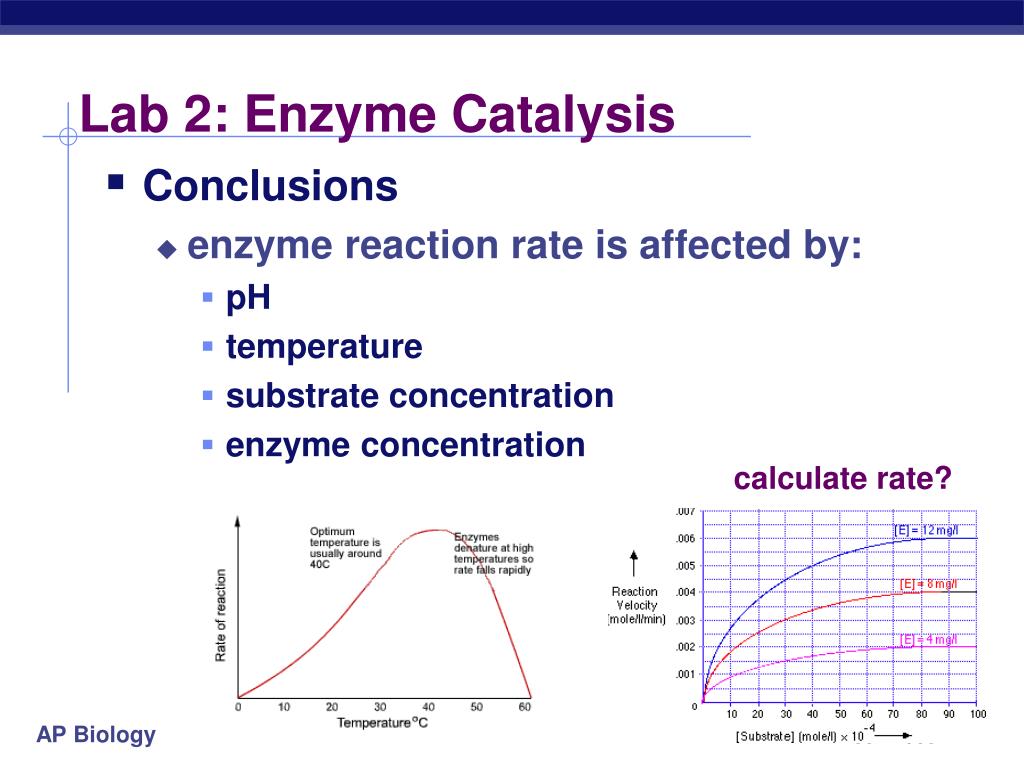 Effect rate. Rate of Reaction. How to calculate the rate of Reaction. Enzyme-catalysed Reaction. Effect concentration rate of Reaction.