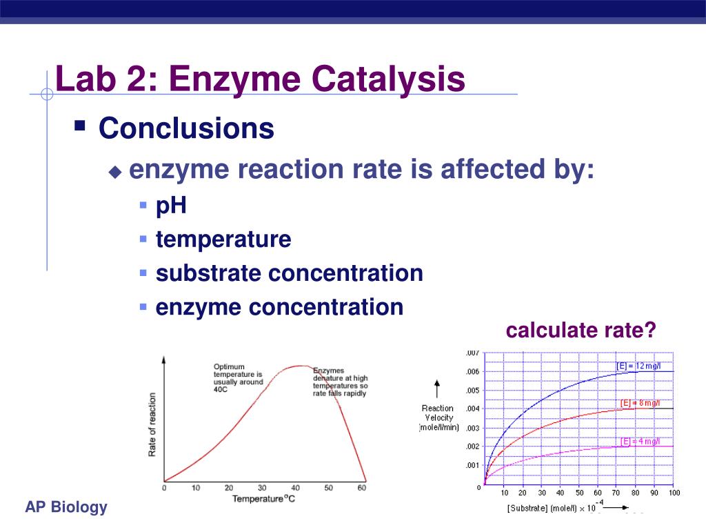 Reaction results