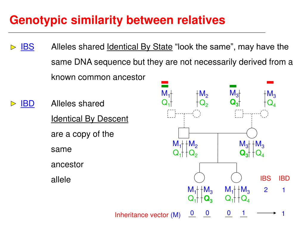 PPT - Biometrical genetics PowerPoint Presentation; free download - ID