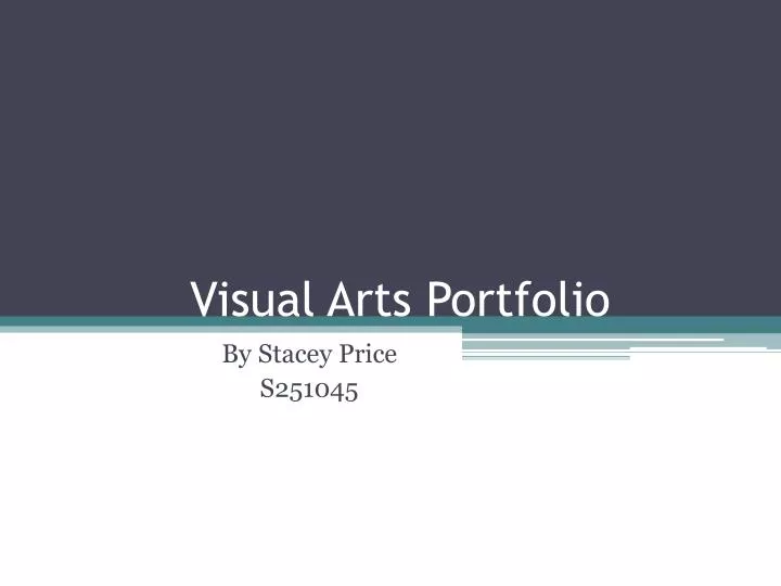 visual arts portfolio n.
