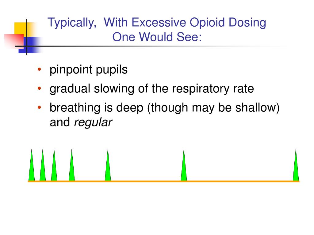 does morphine speed up death does morphine speed up death