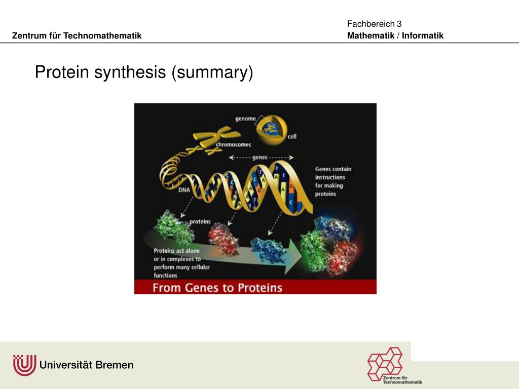 PPT Genomics, Genome, Gene, Proteins, Proteome, Proteine Chemistry, Proteomics