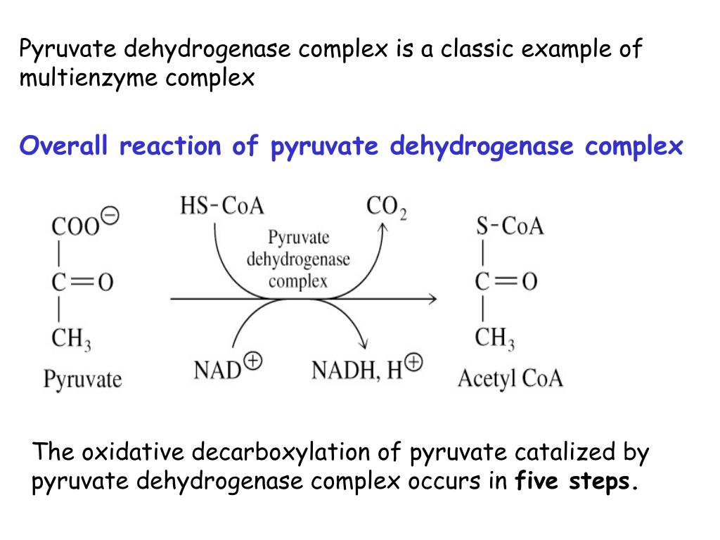 decarboxylation of pyruvate