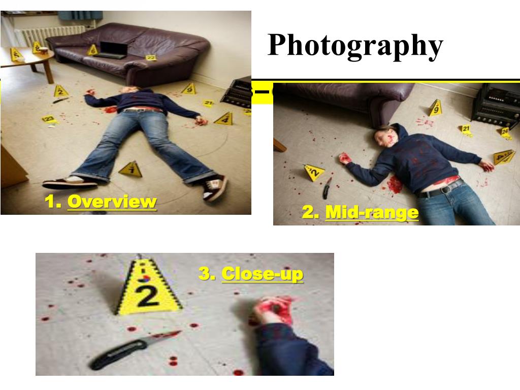 Ppt The Crime Scene Powerpoint Presentation Free Download Id4047902 