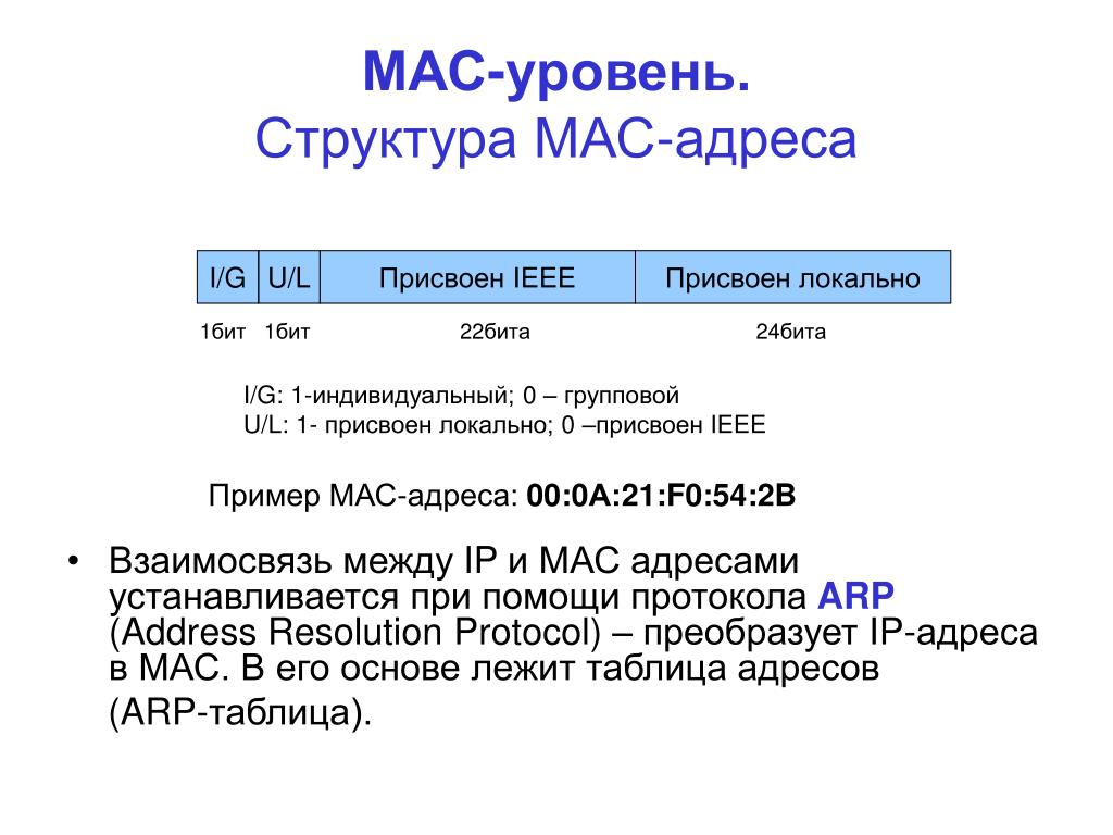 Mac адрес презентация